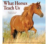 What Horses Teach Us Calendar 2027, Wall Calendars, Month To View, Animals, Gift