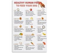 What Human Foods Can Dogs Eat Poster Nutritious Treats Guide Home Decor