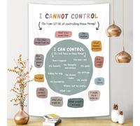 What I Can and Cannot Control Tapestry Therapy Office Mental Health Wall Banner School Counselor Psychologist Wall Hanging Calming Down Corner Classroom Decor Therapist Gift 40X60IN