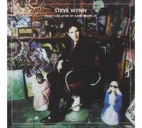 What I Did After My Band.. by Steve Wynn