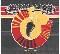 What I Saw [DVD]