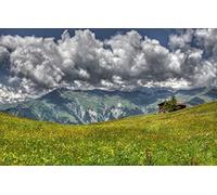 what if jigsaw puzzles 500 pieces,natural beauty,flowers 52x38CM