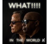 What : In the World CD (2025) NEW Incredible Value and Free Shipping