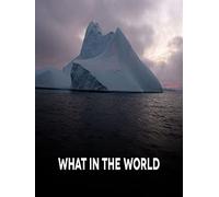 What in the World: Western Sahara