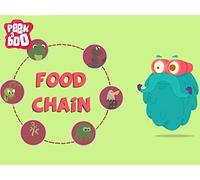 What Is A Food Chain? The Dr. Binocs Show Educational Videos For Kids