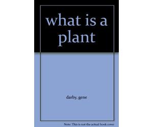 what is a plant