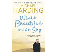 What is Beautiful in the Sky : A book about endings and beginnings