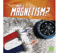 What Is Magnetism? (Science Basics)