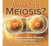 What is Meiosis? Stages of Meiosis, Prophase, Metaphase, Anaphase and Telophase | Grade 6-8 Life Science
