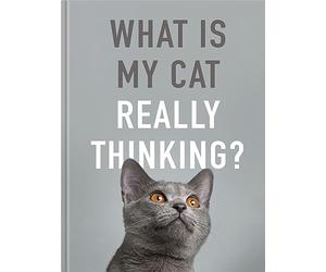What is My Cat Really Thinking?: Our Moggie's Inner Mind Explained