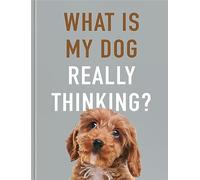 What Is My Dog Really Thinking?