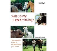 What is My Horse Thinking?