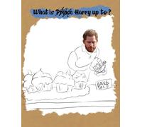 What is Prince Harry up to?