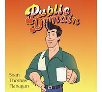 What is Public Domain?