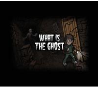 What Is The Ghost PC Steam CD Key