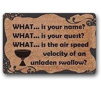 What is Your Name What is Your Quest Special Doormat What is The Air Speed Velocity of an Unladen Swallow Funny Doormat for Bathroom Kitchen Bedroom Decorative 30x18 Inch