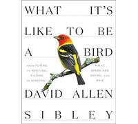 What It's Like to be a Bird (Sibley Guides): From Flying to Nesting, Eating to Singing--What Birds Are Doing, and Why