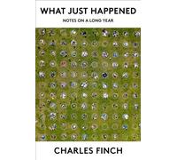 What Just Happened: Notes on a Long Year