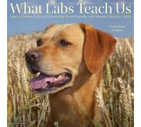 What Labs Teach Us 2026 12 X 12 Wall Calendar