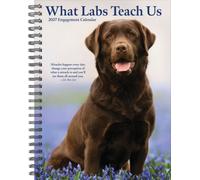 What Labs Teach Us 2027 Engagement
