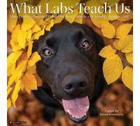 What Labs Teach Us 2027 Wall