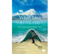 What Lies Beneath: How Organisations Really Work