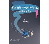 What makes an organization slow and how to fix it