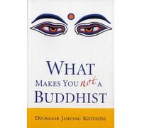 What Makes You Not A Buddhist