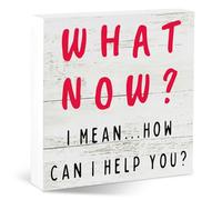 What Now I Mean How Can I Help You Funny Desk Decor Sign with Reminder Quote, 5.5x5.5 Inch Rustic Wood Office Decor for Front Desk,| Gifts for Receptionist Customer Service Professionals