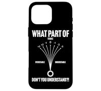 What part of don't you understand Disc Golf Funny Case for iPhone 16 Pro Max