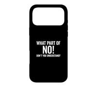 What Part Of No Don't You Understand Funny Saying Case for iPhone 17 Pro Max