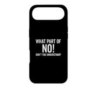 What Part Of No Don't You Understand Funny Saying Case for iPhone Air