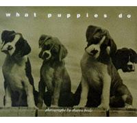 What Puppies Do