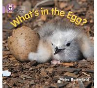 What’s in the Egg?