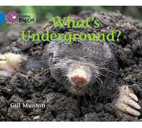What’s Underground: Band 04/Blue (Collins Big Cat)