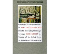 WHAT THE TWILIGHT SAYS PB: Essays