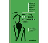 What They Didn't Teach You in Fashion School (What They Didn't Teach You In School): what you need to know to make it as a fashion designer