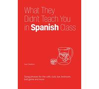 What They Didn't Teach You In Spanish Class: Slang Phrases for the Cafe, Club, Bar, Bedroom, Ball Game and More