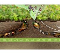 What to Do about Insects