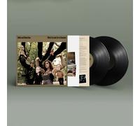 What to Look for in Summer