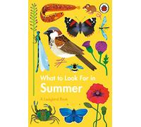 What to Look For in Summer
