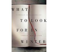 What to Look for in Winter: A Memoir in Blindness