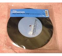 What Took You So Long [7" VINYL]