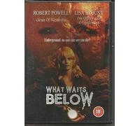 What Waits Below [DVD]