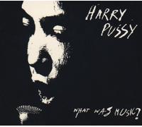What Was Music? by Harry Pussy