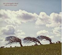 The Pineapple Thief : What We Have Sown VINYL 12" Album 2 discs (2019)