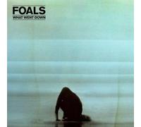 Foals - What Went Down [VINYL]