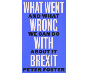 What Went Wrong With Brexit : And What We Can Do About It