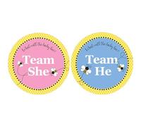 What Will Baby Bee Gender Reveal Team Boy or Girl Stickers - 40 Labels
