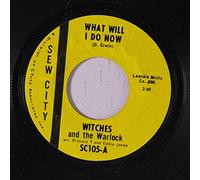 what will i do now 45 rpm single